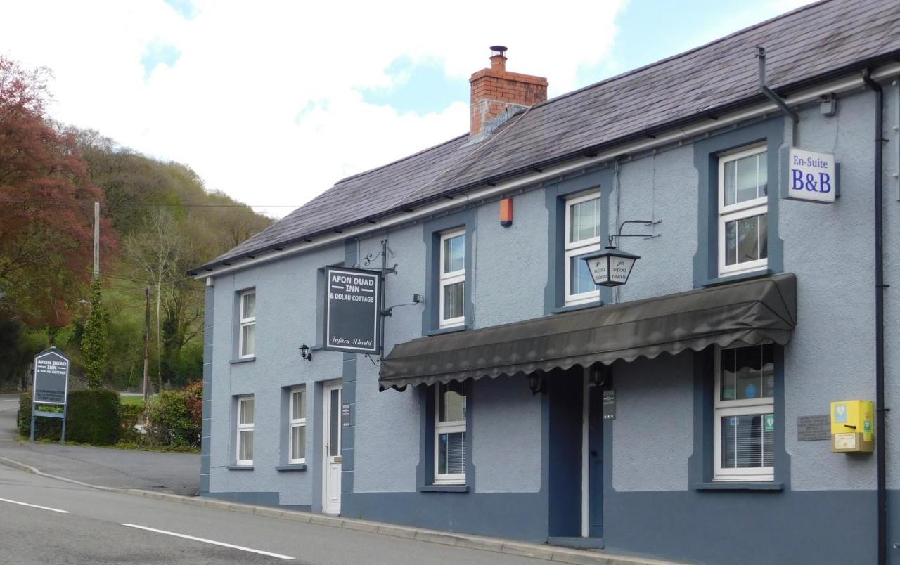 Afon Duad Inn Cwm-Duad Exteriér fotografie
