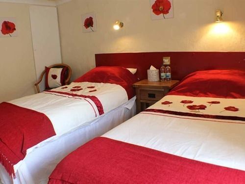 Afon Duad Inn Cwm-Duad Exteriér fotografie